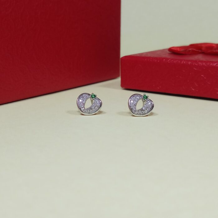 Timeless Beauty: 925 Sterling Silver Earrings