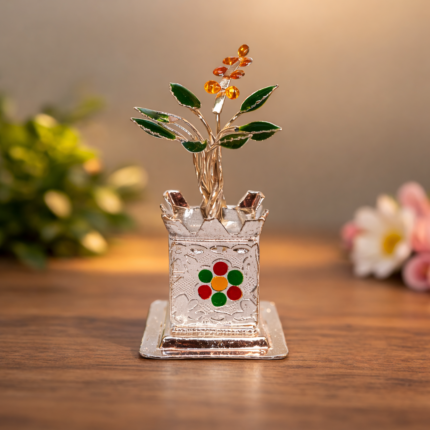 Sacred Serenity: Silver Tulsi Plant
