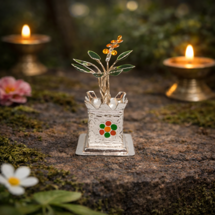 Sacred Serenity: Silver Tulsi Plant