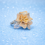 Silver Luminance: Sterling Silver Radiance Ring