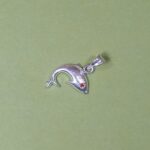 Serenity in Silver: Silver Fish Pendant