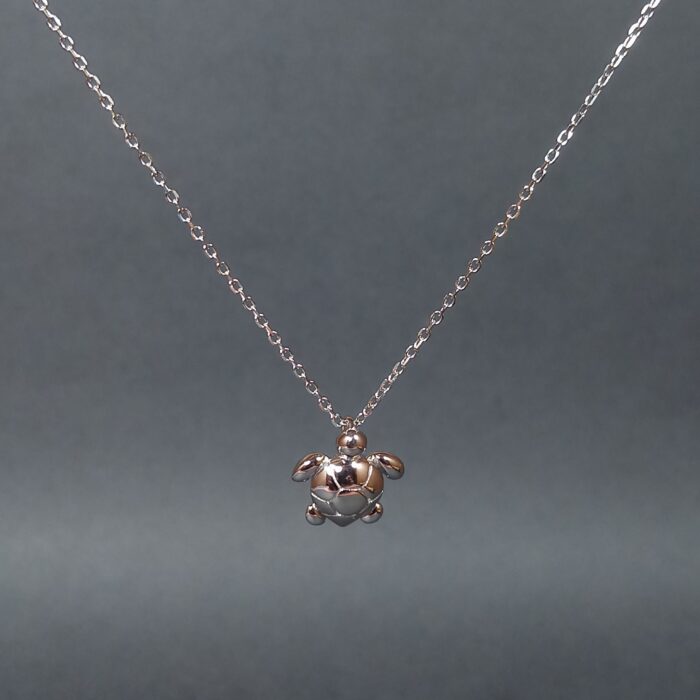 Celestial Charm: Sterling Silver Chain Pendant