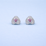 Elegant Silver Top Earrings