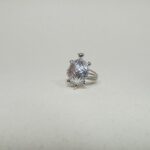 Timeless Silver Tortoise Ring – Symbol of Grace and Fortune