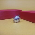 Timeless Silver Tortoise Ring – Symbol of Grace and Fortune