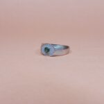 Swarna Veer: Indian Heritage Silver 925 Ring for Men