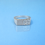 edit the silver ring with leather background