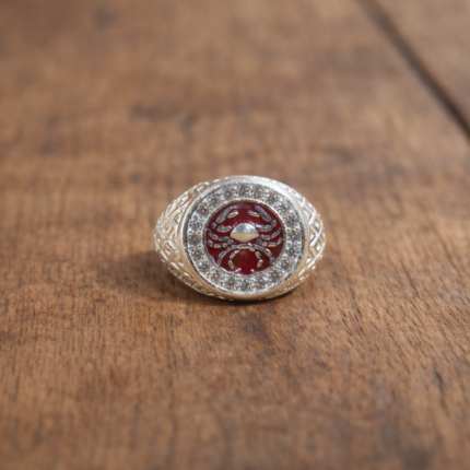 Astrological Silver Zodiac Sign Capricorn Rings
