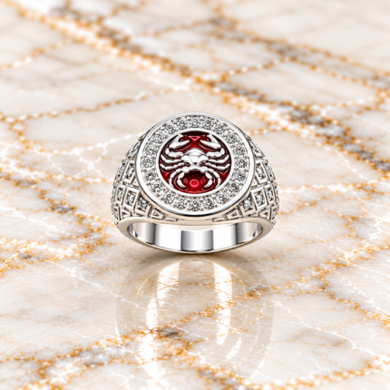 Astrological Silver Zodiac Sign Capricorn Rings