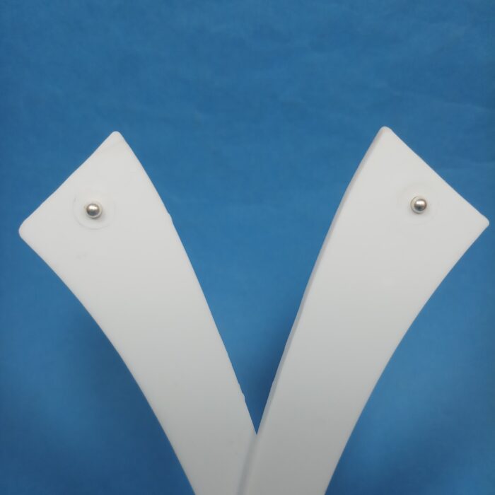 Trendy Earring Studs for Him