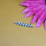Lustrous Pearl Pendant – A Symbol of Elegance