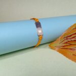 Pure 925 Silver Swastik Rakhi with Orange Dhaga