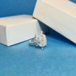 Silver Turtle Ring with Tricolor