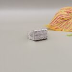 Elite Pure Silver Ring