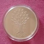 100g Pure Silver Round Coin – Investment & Collectible