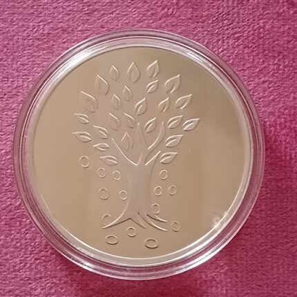 100g Pure Silver Round Coin – Investment & Collectible