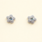 925 Sterling Silver Elegant Sparkle Earrings