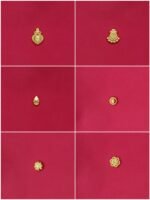 925 Sterling Silver Lightweight Floral & Classic Design Gold 24K Nose Studs (Combo of 5)